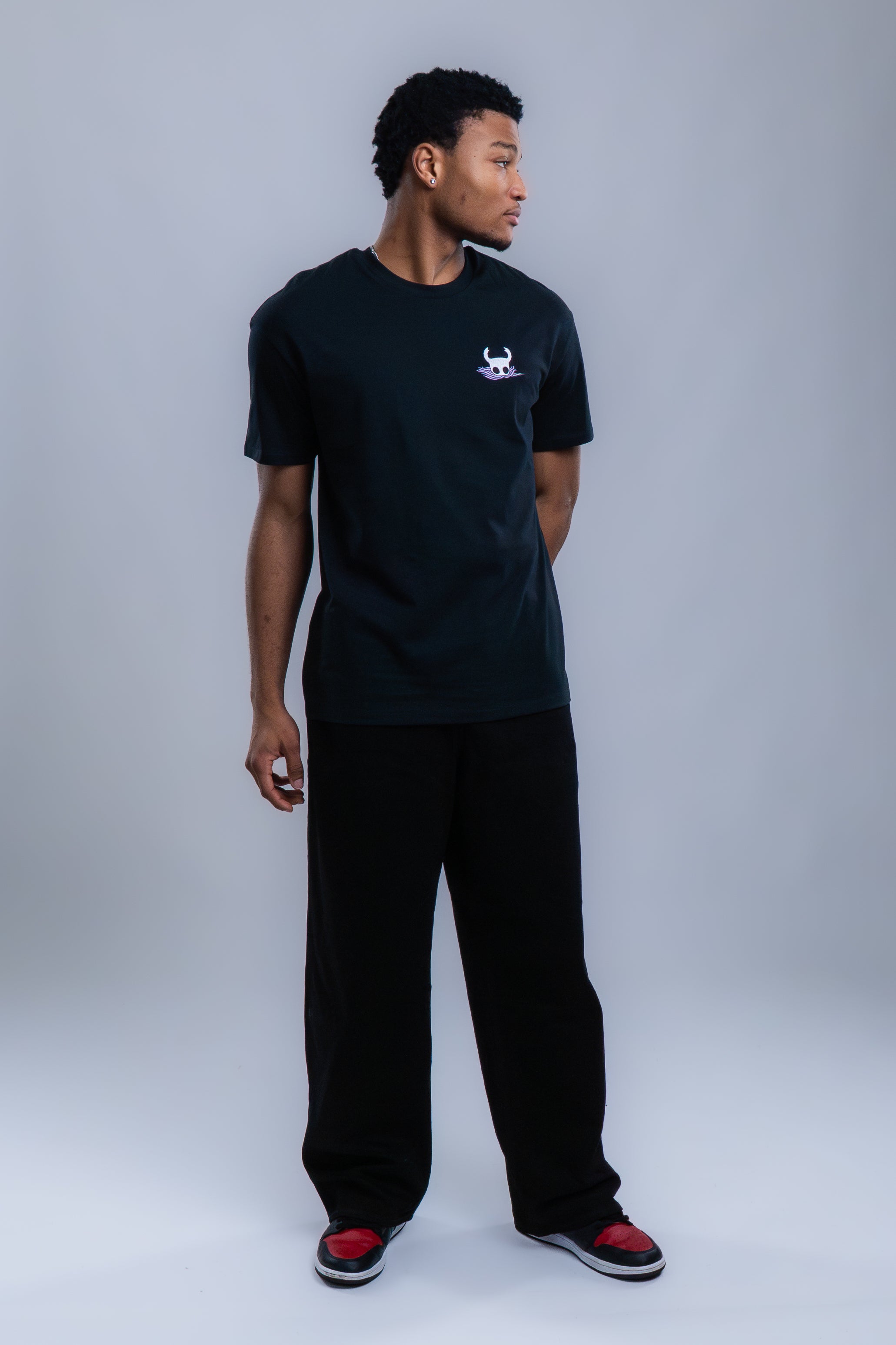 PACK DUO HOLLOW KNIGHT