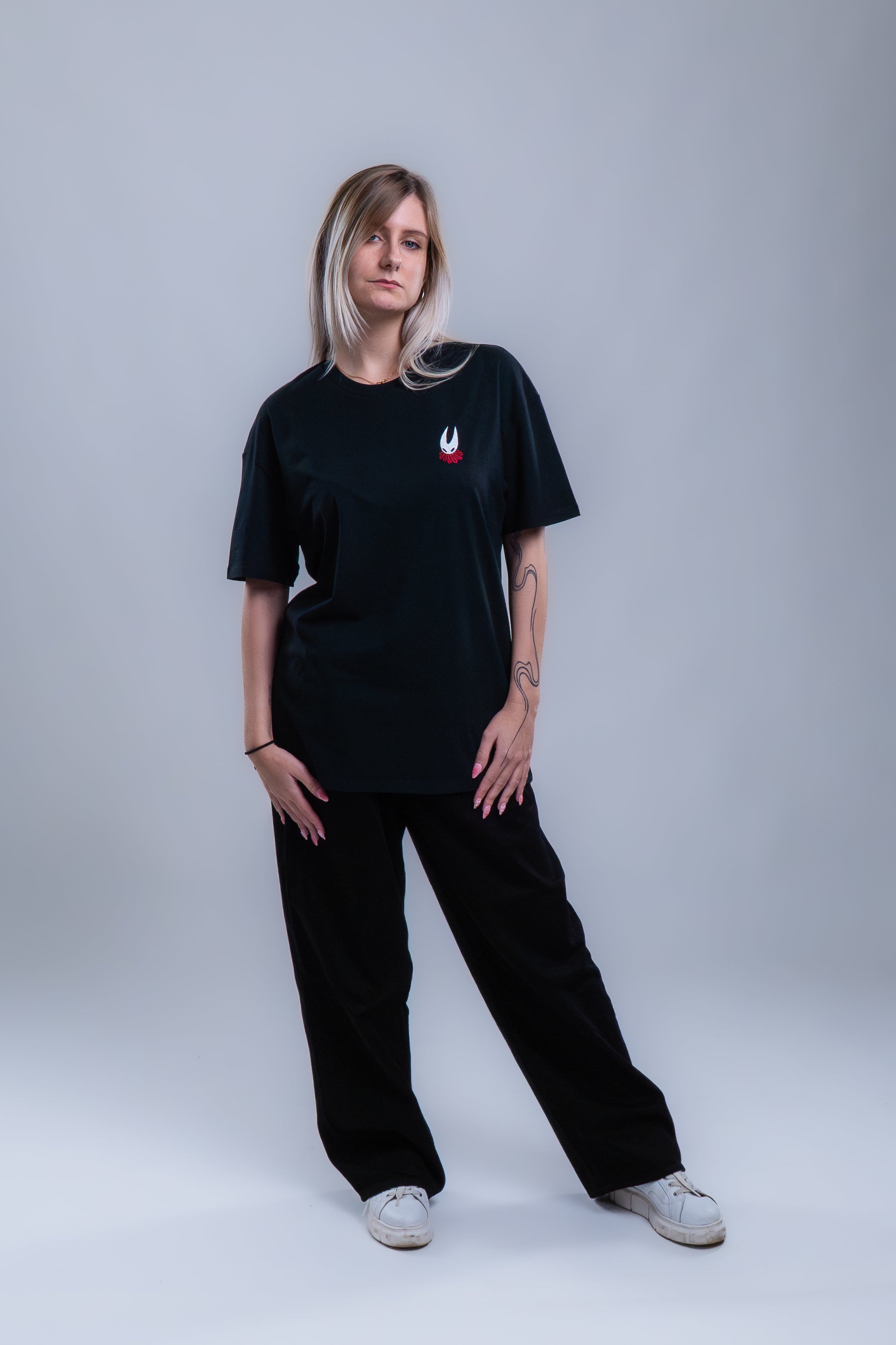 PACK DUO HOLLOW KNIGHT